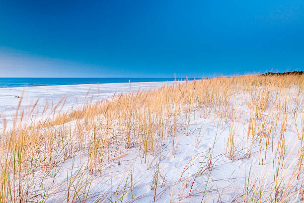 istock beautiful view of the coastal dunes 609822976