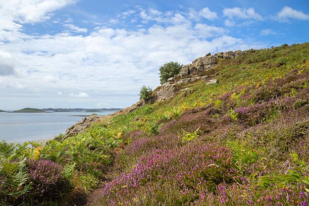 istock Chapel Down, St Martin's, Isles of Scilly, England 609823018