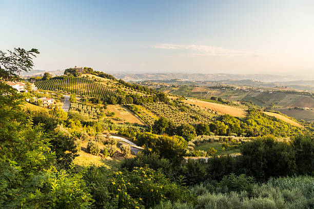 istock Sunset in the italian countryside 609824160