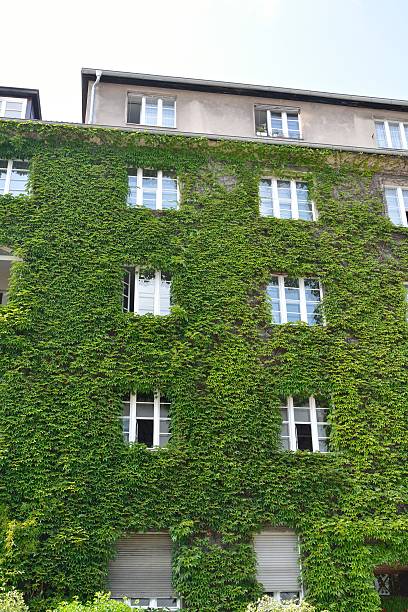 istock Urban House with Green Walls 609825076