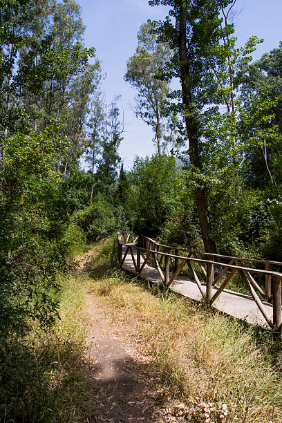 istock Trail in the countryside 609827170