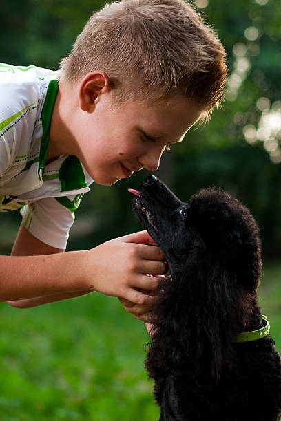 istock boy with a black poodle on nature 609827230