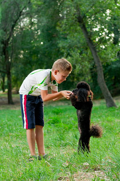 istock boy with a black poodle on nature 609827336