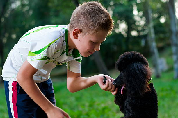 istock boy with a black poodle on nature 609827356