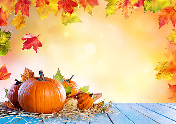 istock Thanksgiving Background With Pumpkins on Wooden Plank 609827544