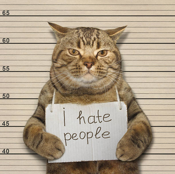 istock Bad cat hates people 609827900