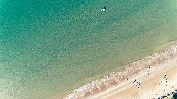 paddle boarding. - long bay imagens e fotografias de stock