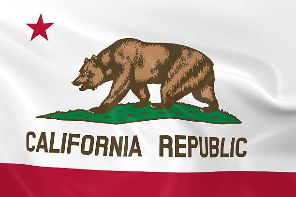 istock Waving State Flag of California 609837118