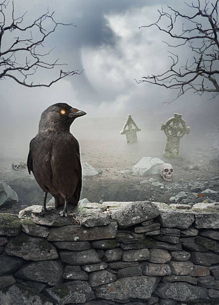 istock Halloween mystical background with raven on the stone wall 609837712
