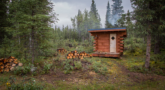 Wilderness Cottage in the Forest.  Refer to file ID 104502383