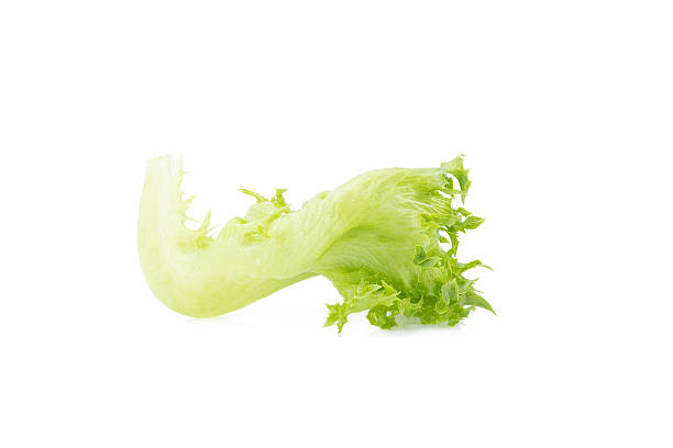 istock green frillies iceberg lettuce isolated on white background 609901884