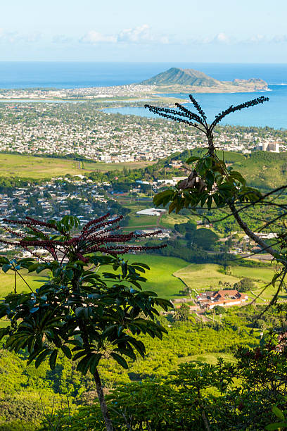 istock Ulupa'U Crater Hawaii 609903556