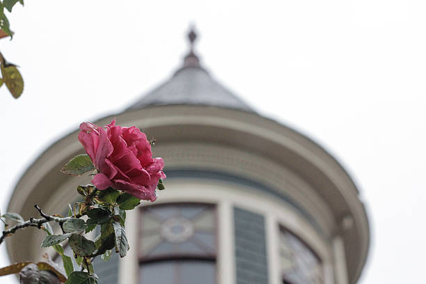 istock Rose and Historic Home Spire 609908716