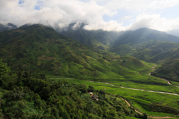 istock Terraced rice fields in Tu Le, Yen Bai, Vietnam. 609910630