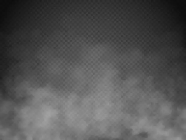 Vector illustration of Fog or smoke isolated transparent special effect. White vector cloudiness