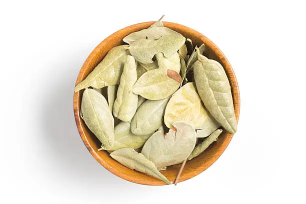 Brazilian Boldo Leaves into a bowl isolated in white background