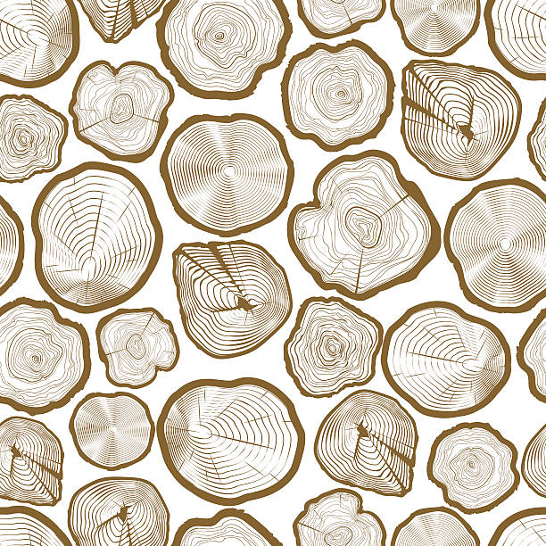 ilustrações de stock, clip art, desenhos animados e ícones de wood ring saw cuts seamless pattern - cross section illustrations