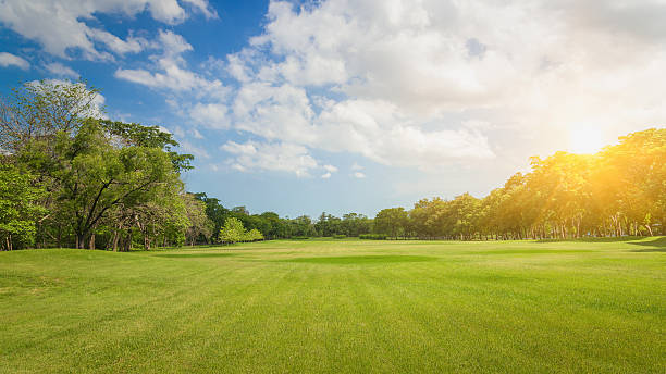 istock Public park. Park in the capital. 609912350