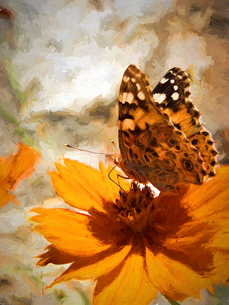 istock Butterfly On An Orange Flower 609913974