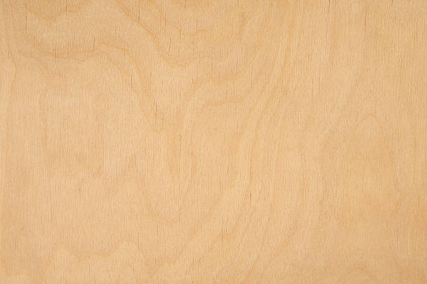 istock Plywood wooden background 609914250