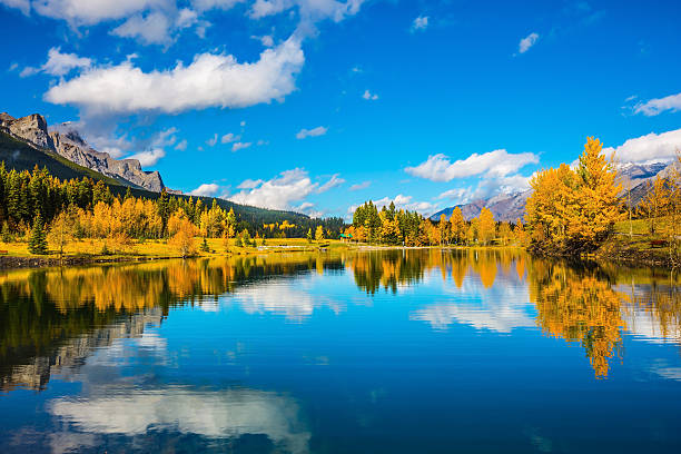 istock Bright day in the Canadian Rockies 609914816
