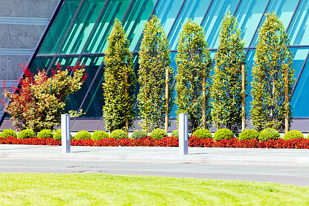 landscaping of the park landscaping of the park around the building, note shallow depth of field quickset stock pictures, royalty-free photos & images