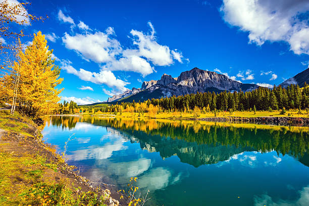 istock Yellowing aspens and the lake 609915038