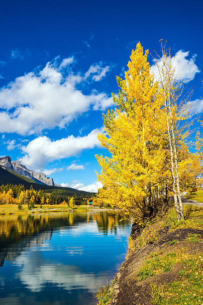 istock Yellowing aspens surround the lake 609915220