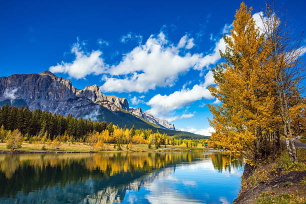 istock The Canadian Rockies, Canmore 609915304
