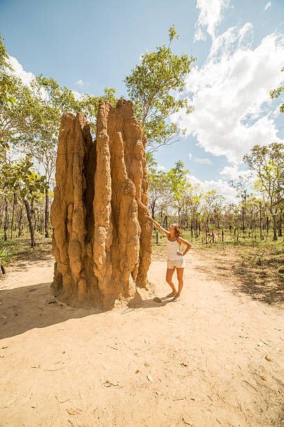 istock Young woman traveling stands by a huge termite mound 609917542