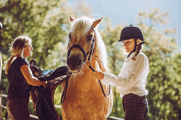 istock Getting Ready for a Horse Ride Outdoors 609923258