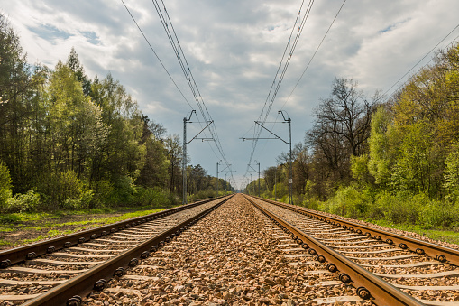 Parallel railway tracks and overhead lines are heading towards the cloudy sky on the horizon and through the forest 