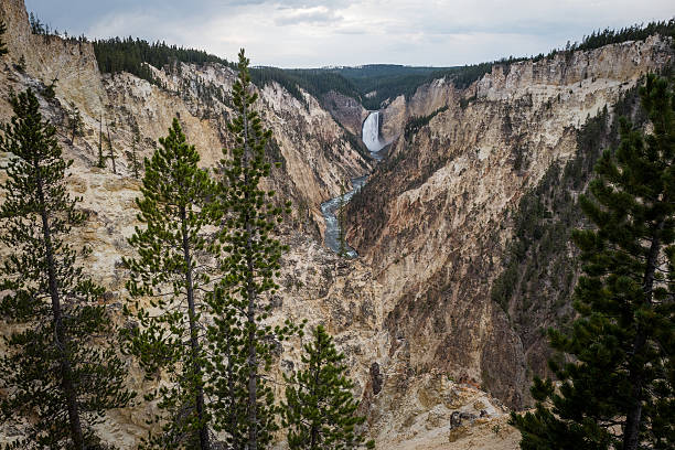 istock Grand Canyon of the Yellowstone 609929132