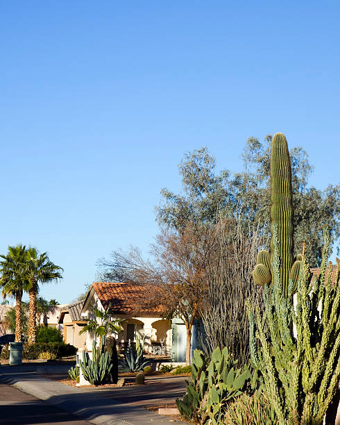 istock Phoenix Streets on Warm Winter Day 609931814