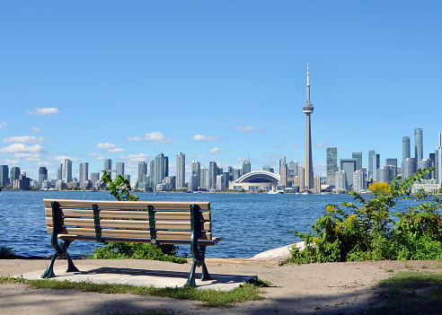 Looking out at the Toronto skyline from behind a park bench on Centre Island in Ontario.