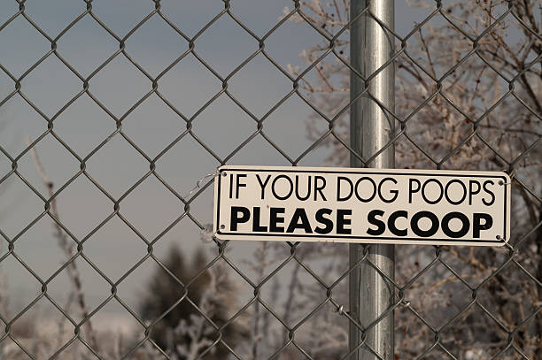 istock Scoop the Poop Sign 609938498