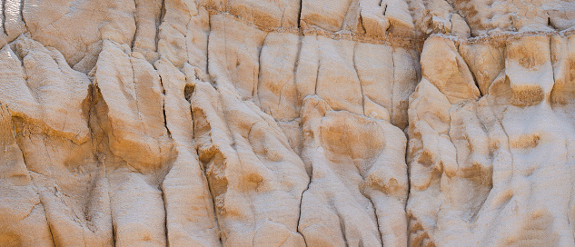 An example of the Bay Point formation, a type of soft sandstone seen at Torrey Pines State Natural Reserve in San Diego, California.