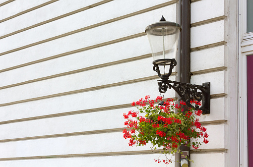 Classic streetlamp on a historic building's facade with a flowerpot hanging from its support