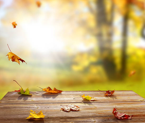 istock Colorful maple leaves on wooden  table.Falling leaves natural ba 609949698