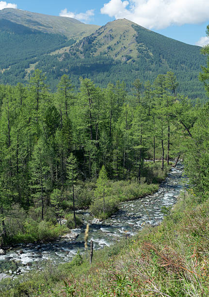 istock River in the Altai mountains 609950332
