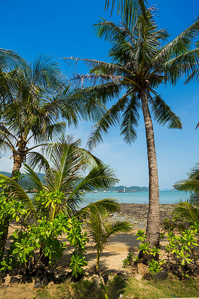 istock Beautiful tropical beach at island Koh Chang 609953158
