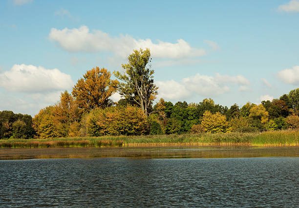 istock Autumn lake in Poland 609953300