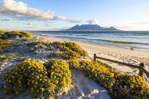 Table Mountain, South Africa