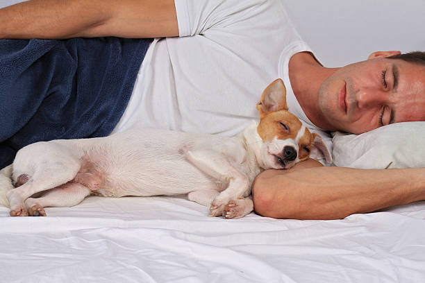 istock Man and dog sleeping together. 609956770