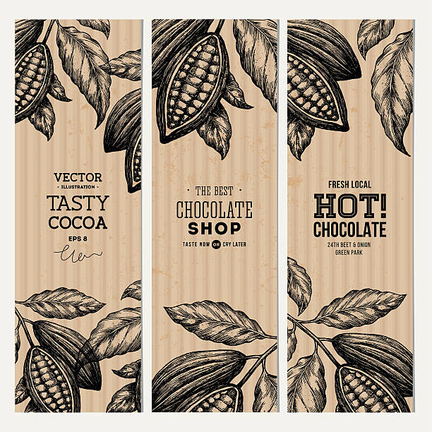 Cocoa bean tree banner collection. Design templates. Engraved style illustration. EPS 8 coffee background stock illustrations