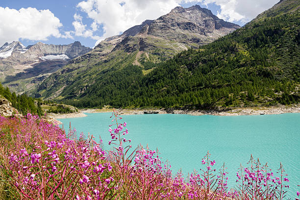 istock Bionaz Lake on Aosta Valley 610007064