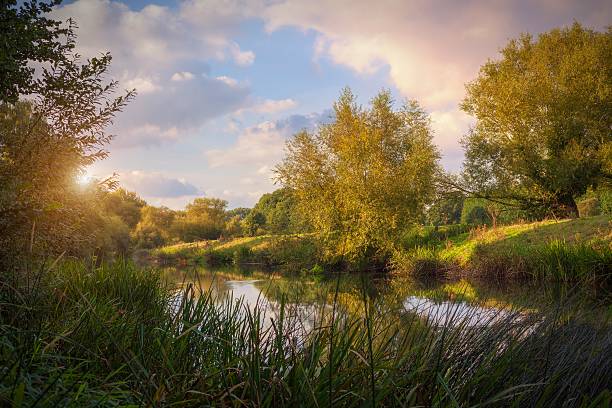 river avon at dusk, welford on avon, stratford upon avon, warwickshire, angleterre - welford on avon photos et images de collection