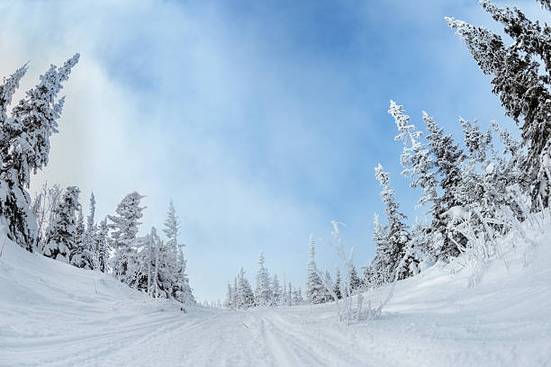 istock Snowy forest in mountains blue sky 610011584