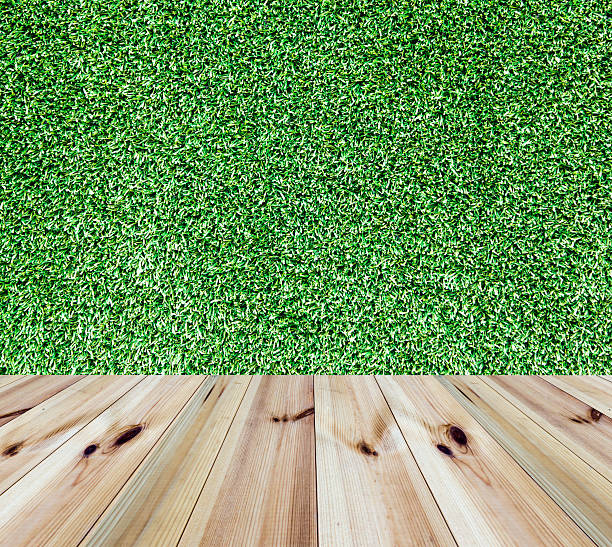istock perspective wooden floor and grass wall 610012588