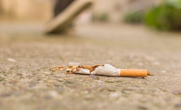 istock Walking from the trampled cigars 610014000